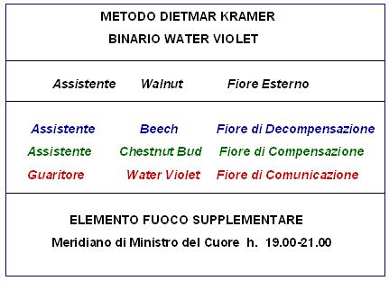 Binario Water Violet (Metodo D. Kramer)